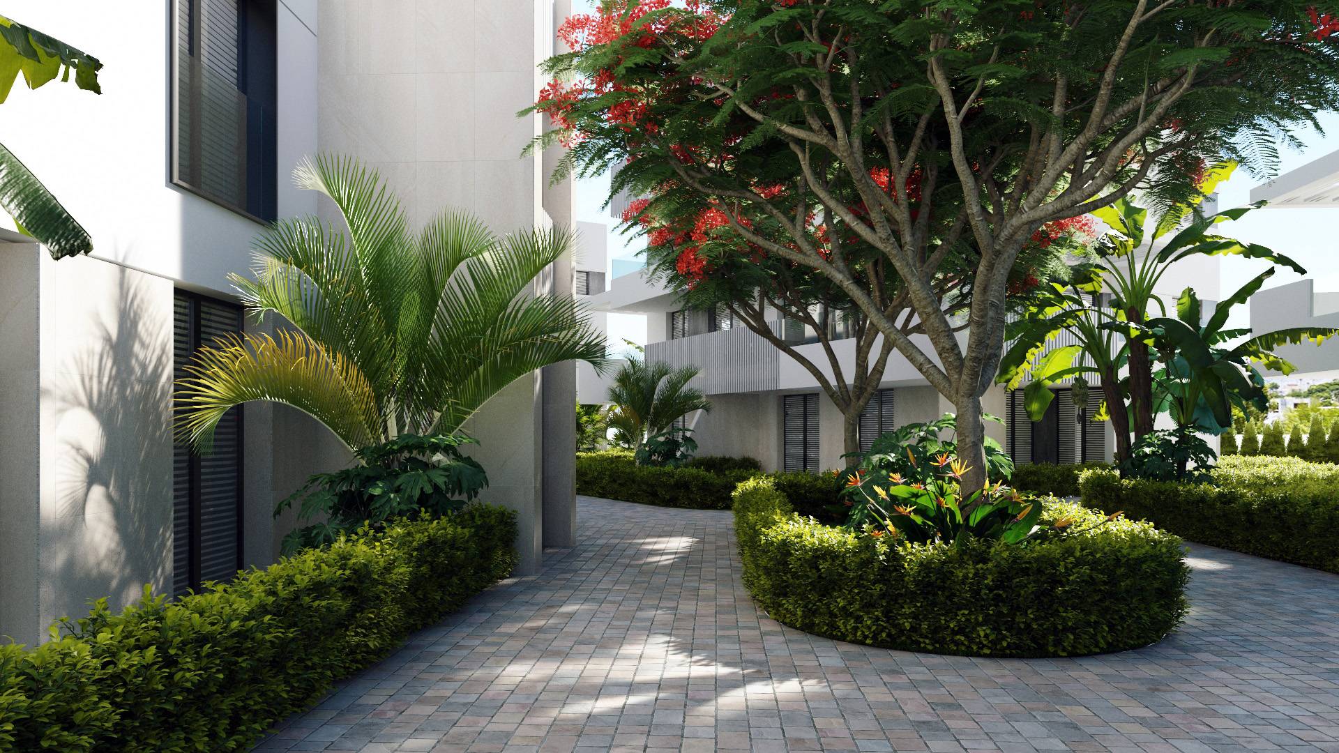 Nieuw gebouw - Penthouse - Santa Rosalia * - Santa Rosalía