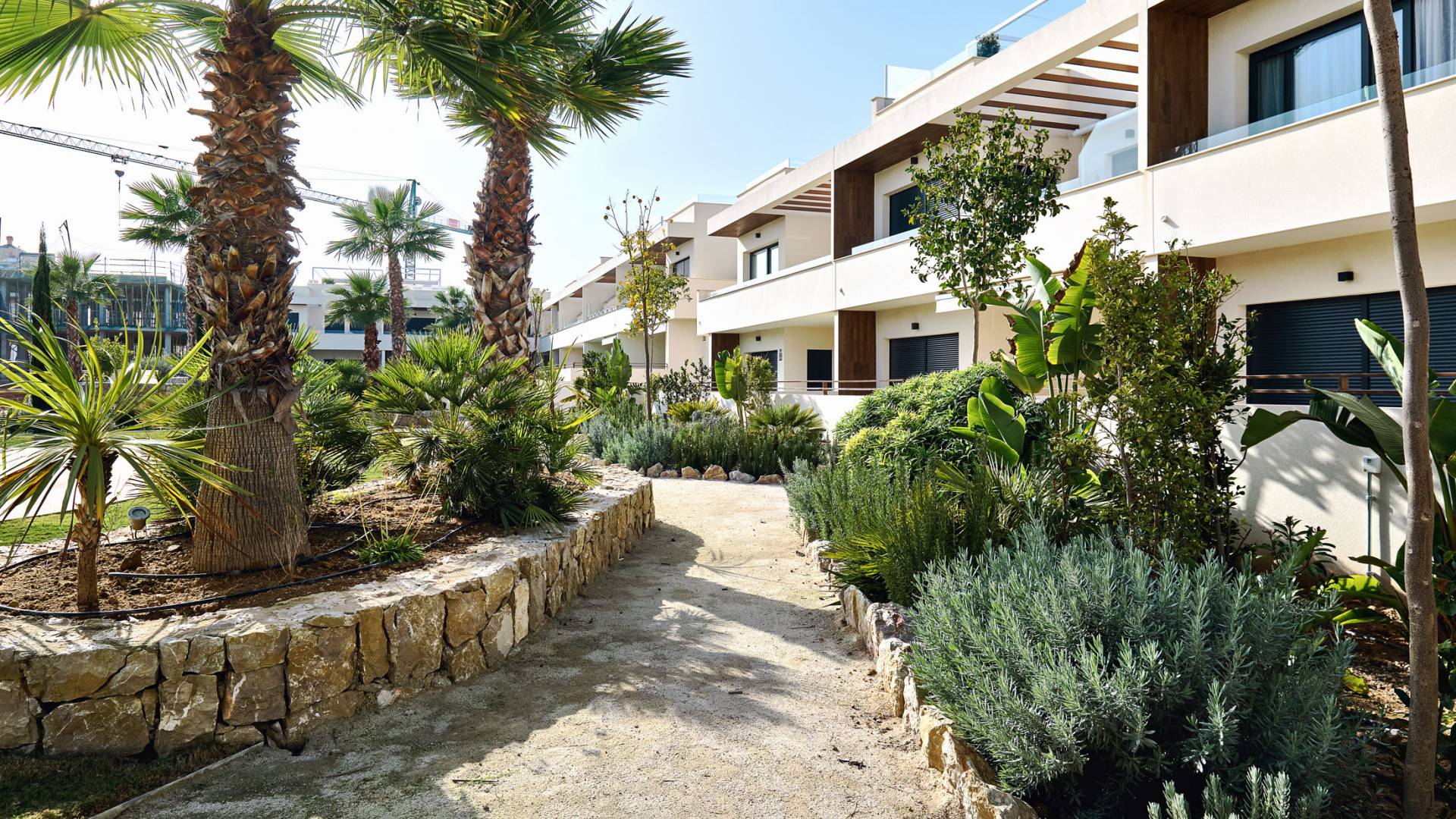 Nieuw gebouw - Townhouse - Torrevieja