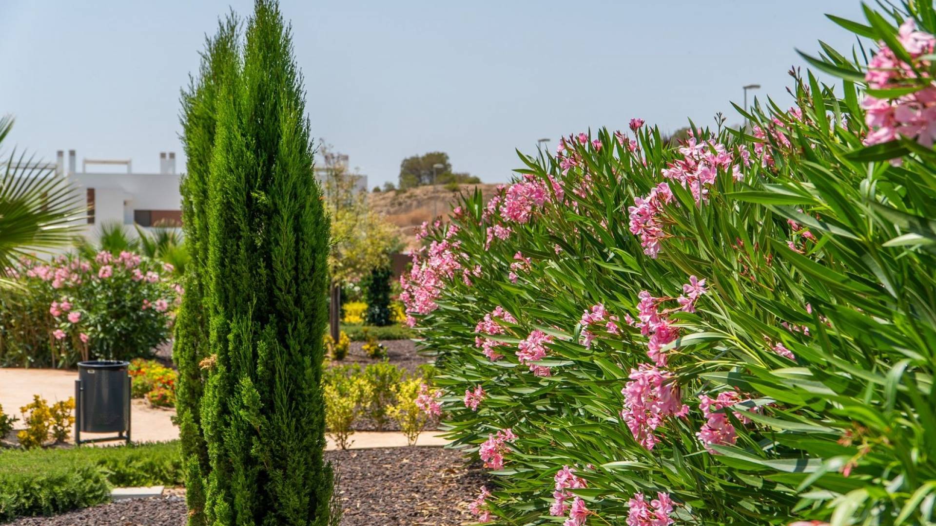 Nouvelle construction - Adosado - Orihuela - VIstabella golf