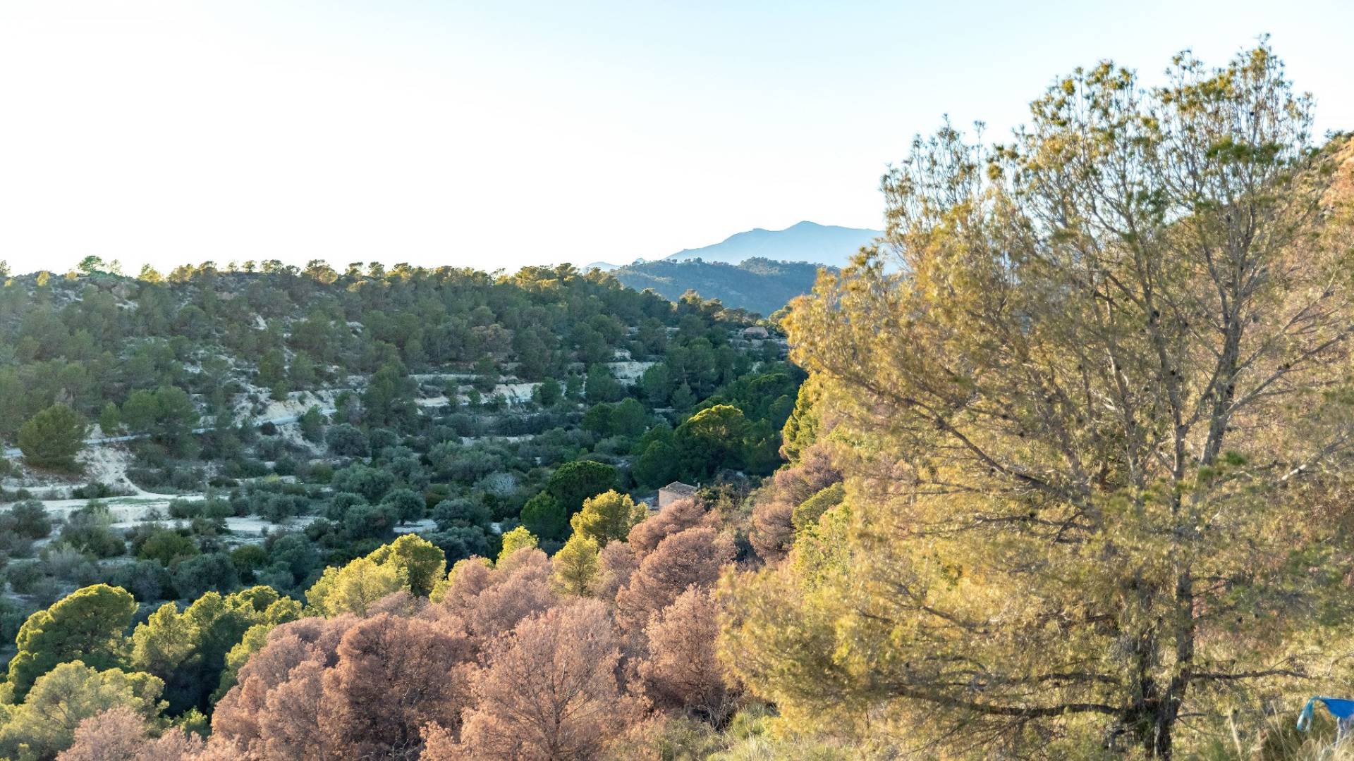 Nouvelle construction - Appartement - Finestrat - Finestrat Urbanizaciones