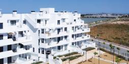 Nouvelle construction - Appartement - Torre Pacheco - Santa Rosalia