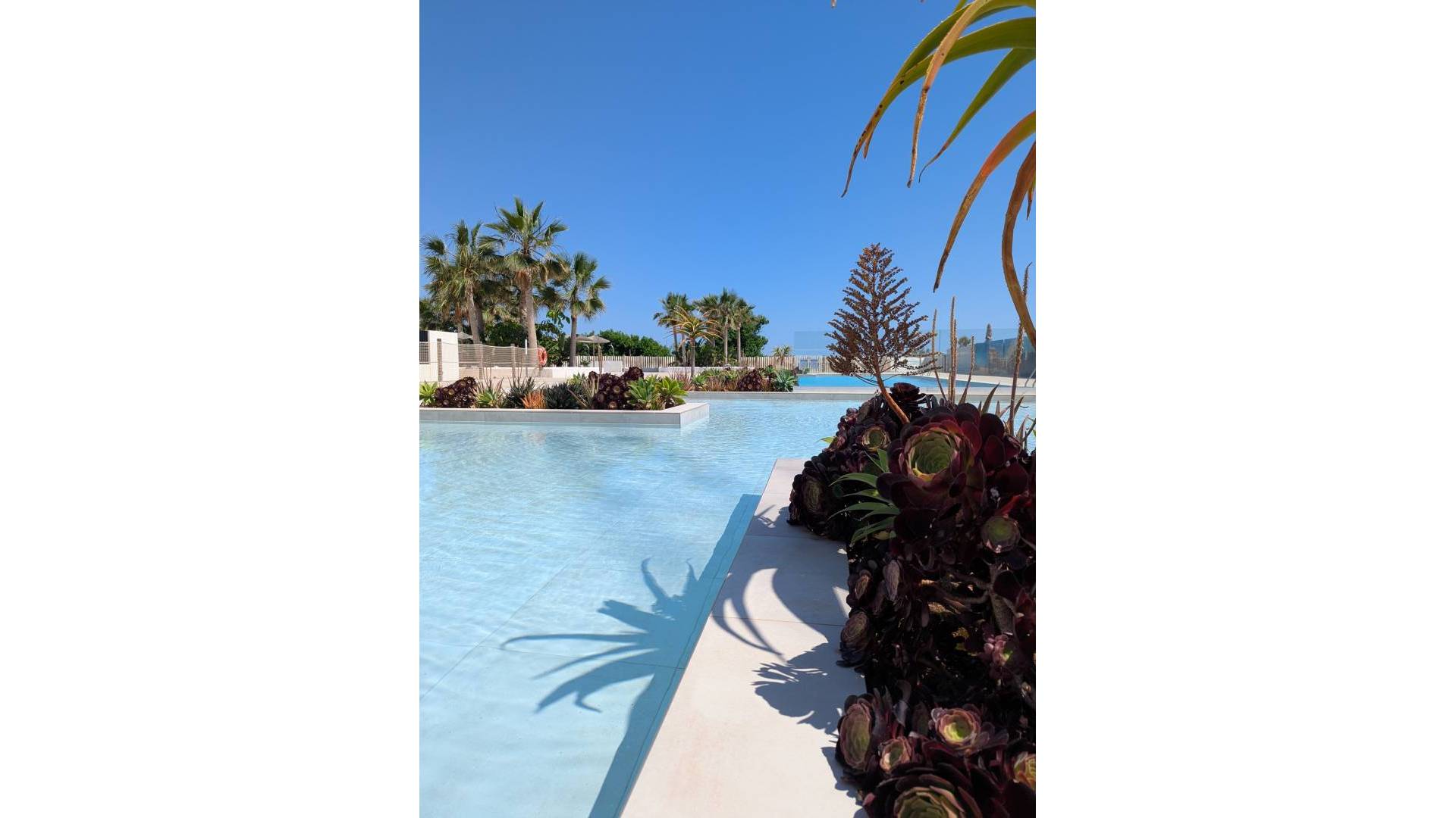 Nouvelle construction - Penthouse - Denia - Dénia