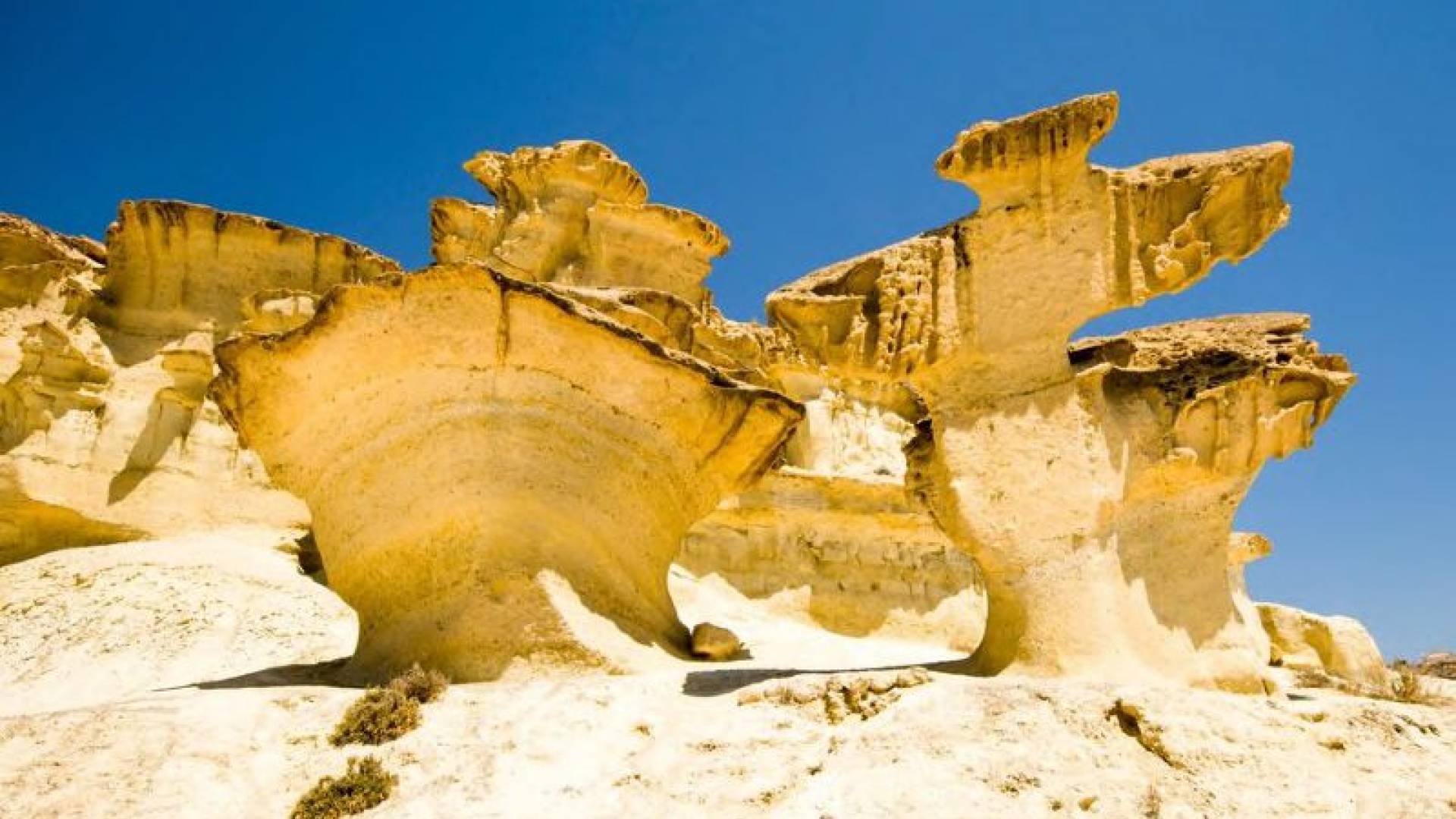 Nouvelle construction - Penthouse - La Manga del Mar Menor