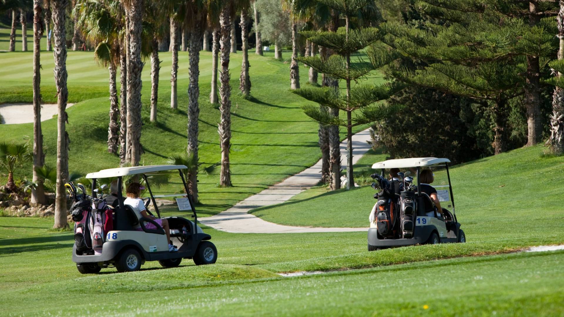 Nouvelle construction - Townhouse - Orihuela Costa - Campoamor