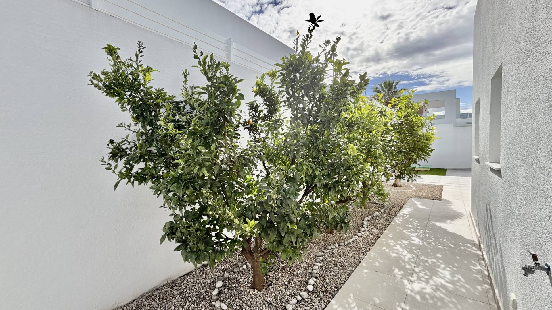 Nouvelle construction - Villa indépendante - Benijofar