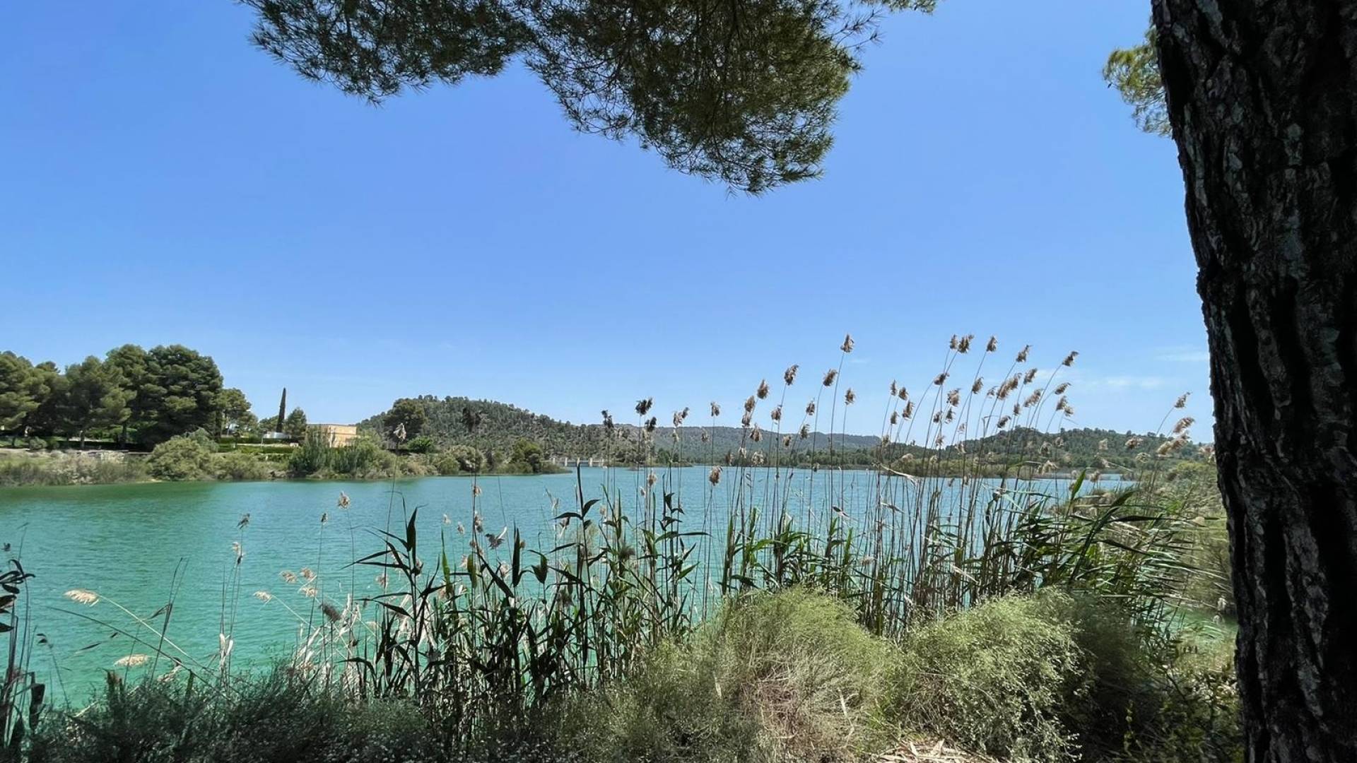 Nouvelle construction - Villa indépendante - Calasparra