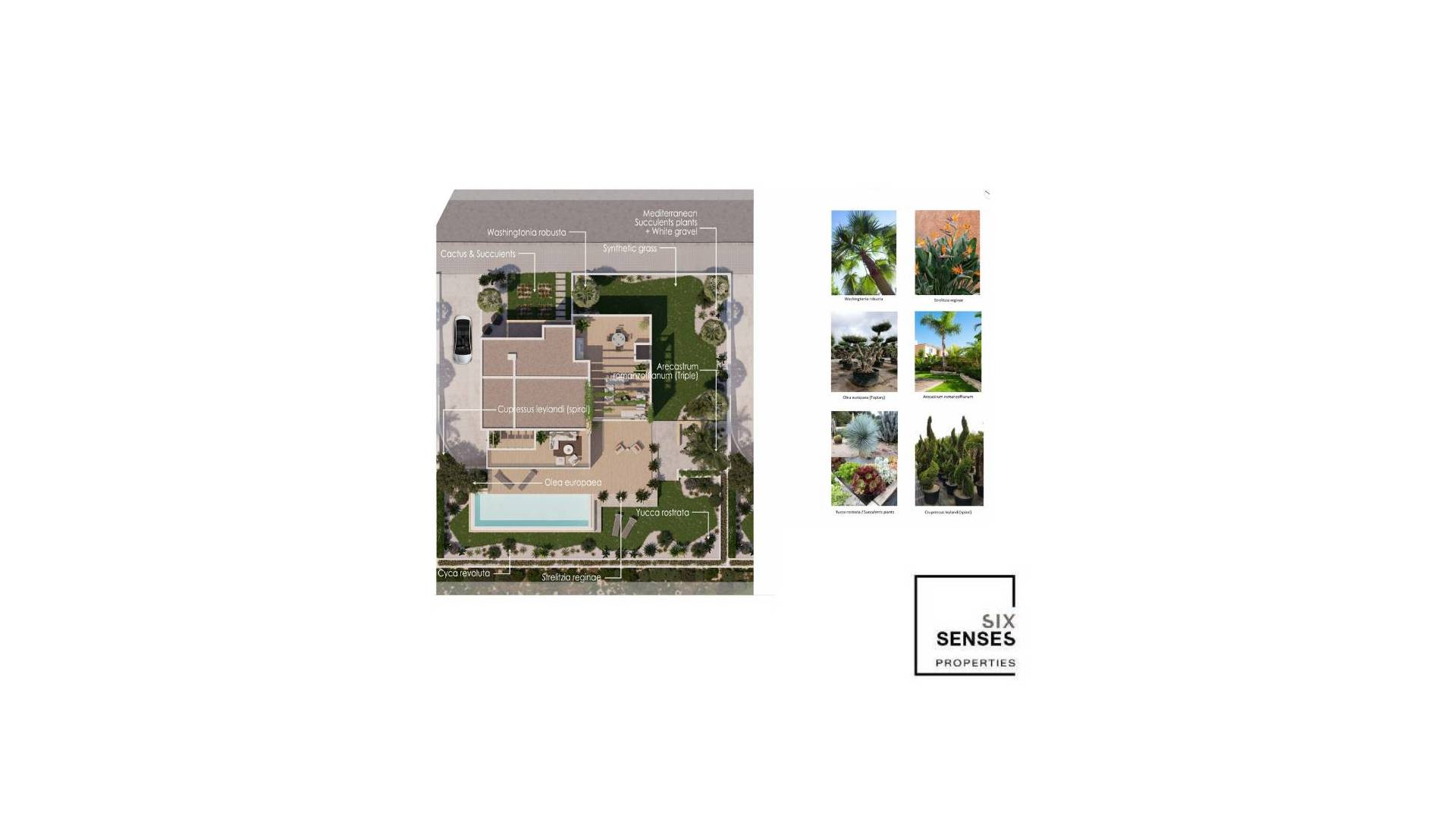 Nouvelle construction - Villa indépendante - Monforte del Cid