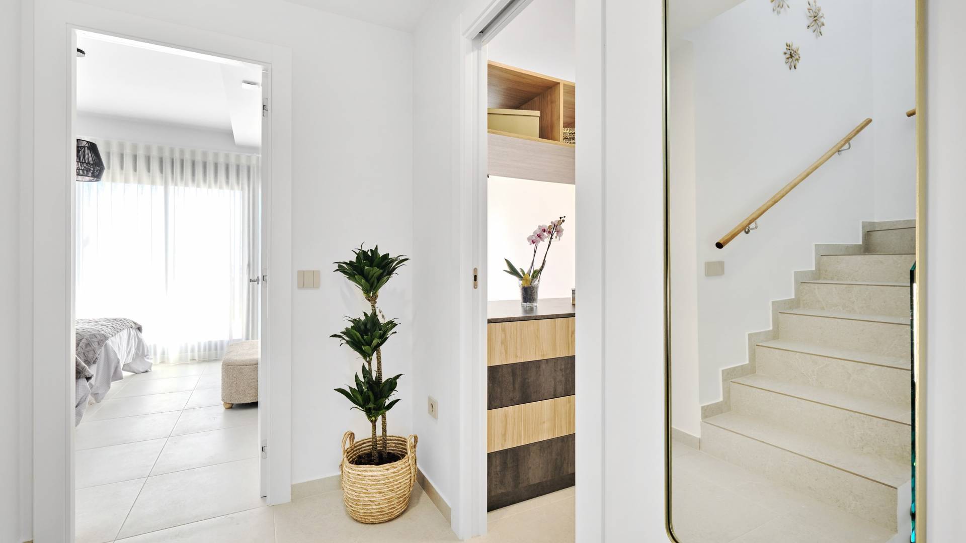 Nouvelle construction - Villa indépendante - San Miguel de Salinas