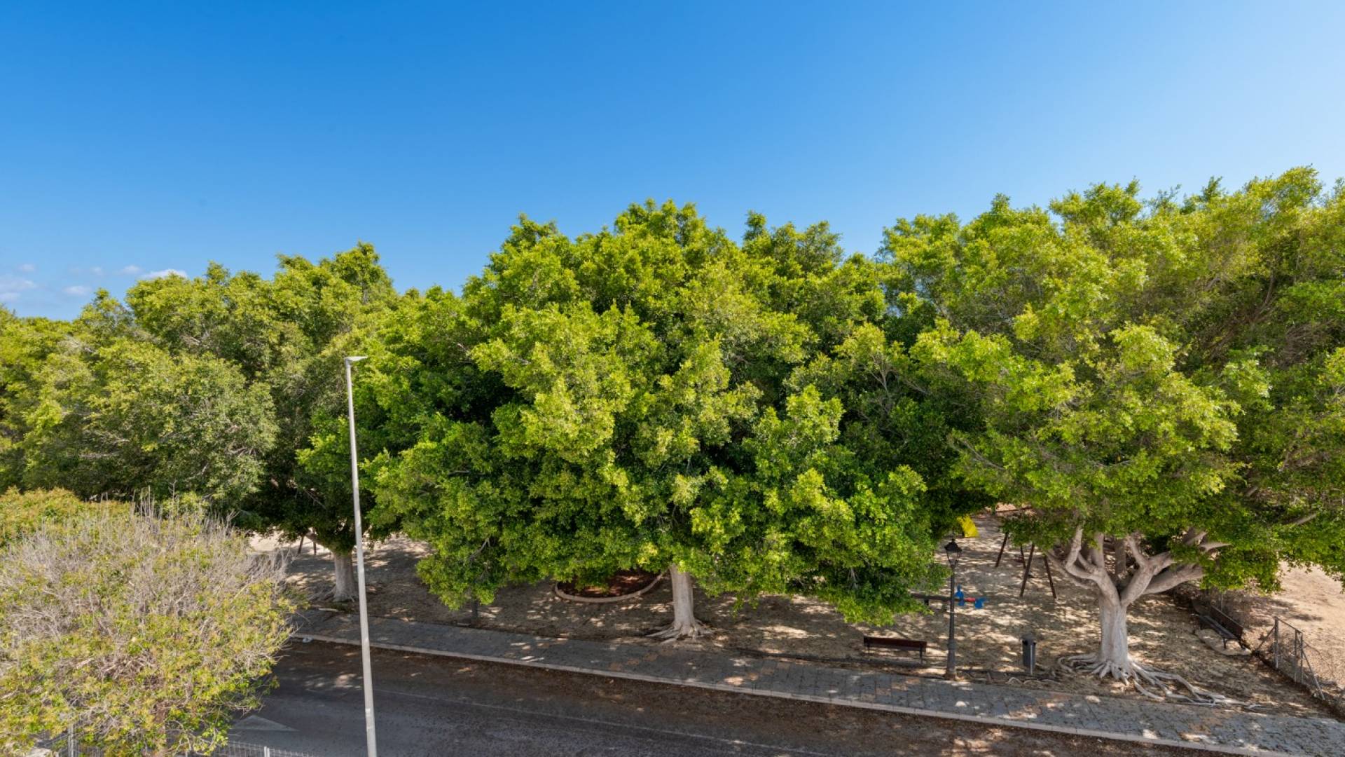 Nouvelle construction - Villa indépendante - Torre de la Horadada