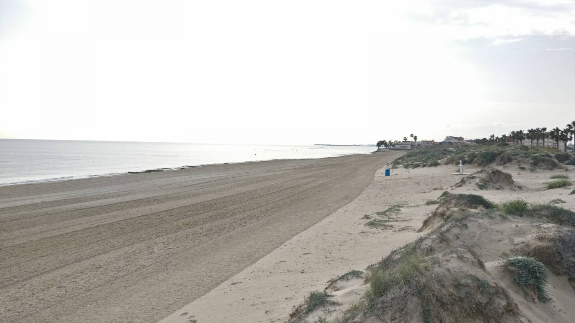 Nouvelle construction - Villa indépendante - Torre de la Horadada