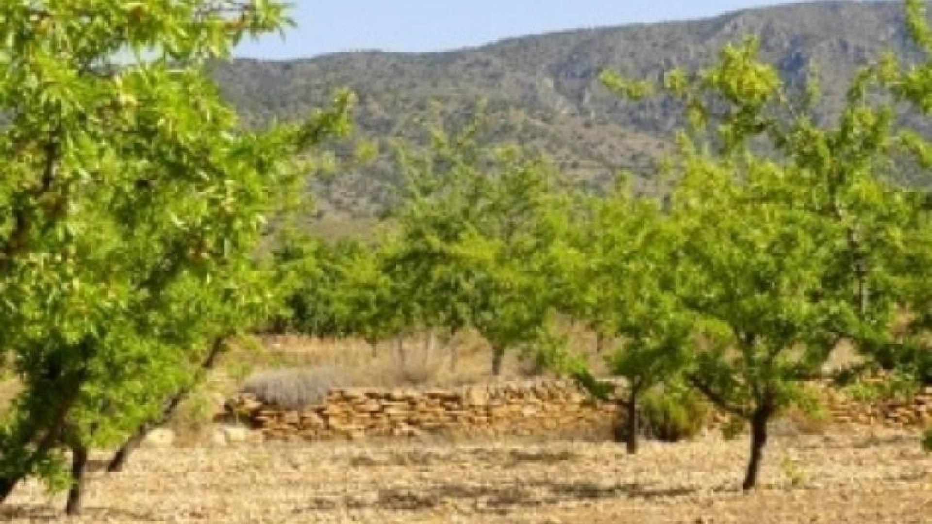 Nouvelle construction - Villa indépendante - Ubeda - Úbeda