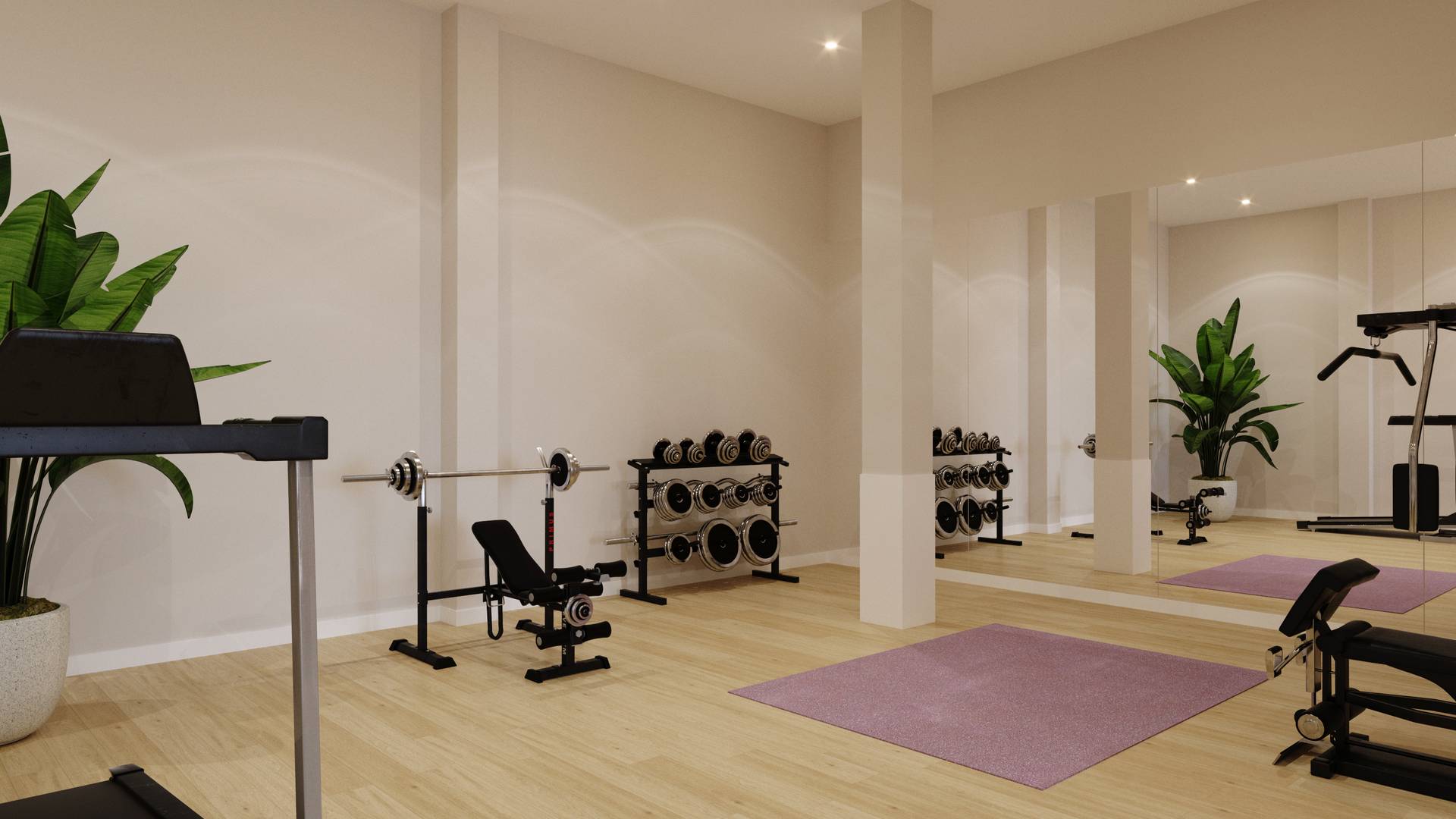 nowa inwestycja -  - Algorfa