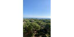 nowa inwestycja - Apartament - Guardamar del Segura