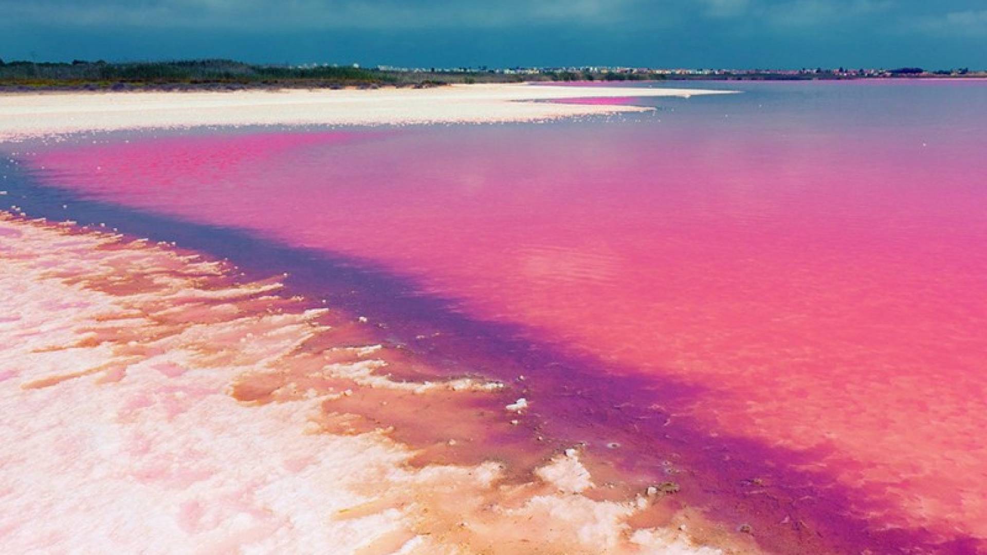 nowa inwestycja - Apartament - Orihuela Costa - Playa Flamenca