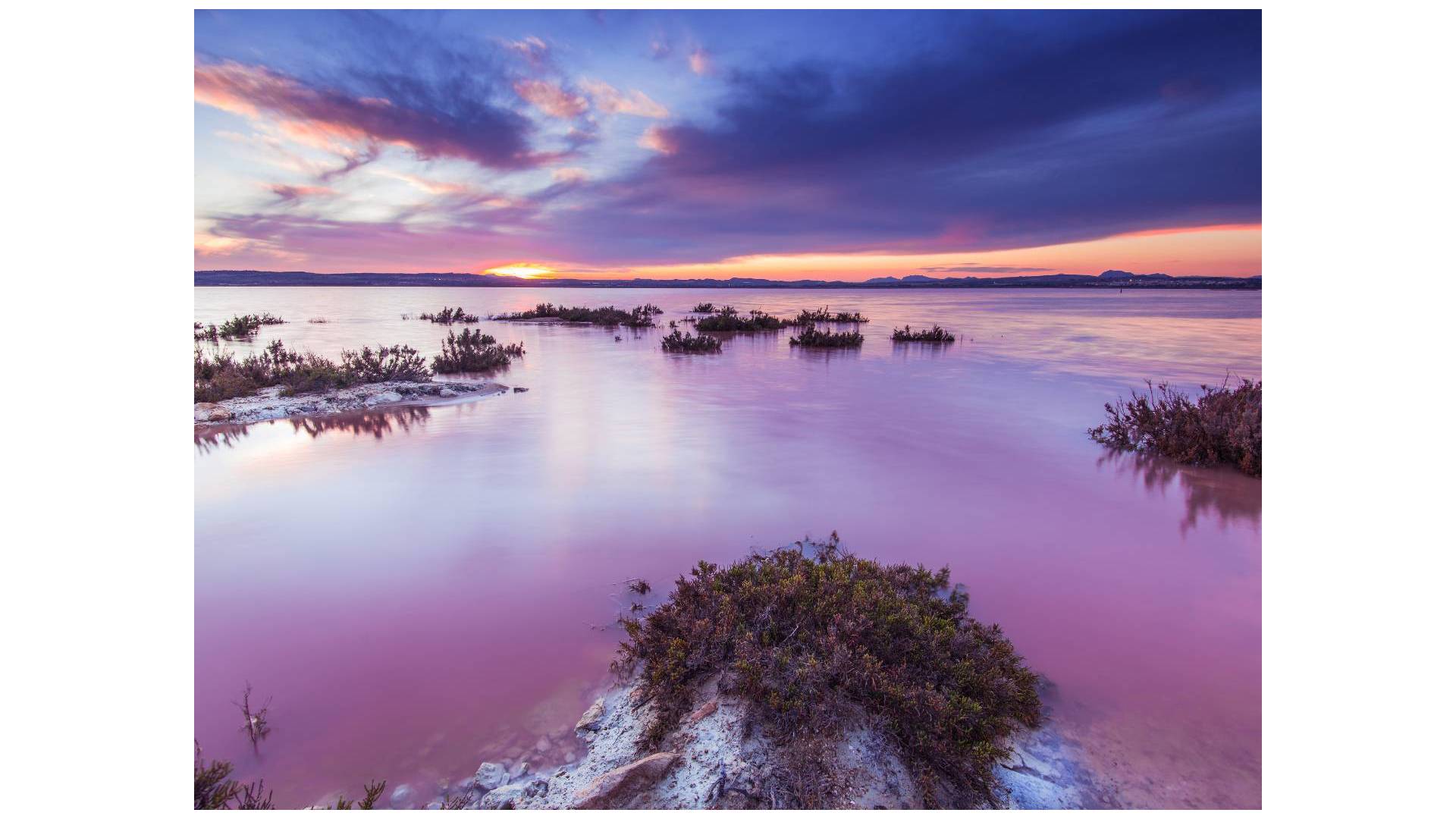 nowa inwestycja - Daszek - Torrevieja - Aguas Nuevas