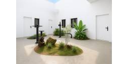nowa inwestycja - Daszek - Torrevieja