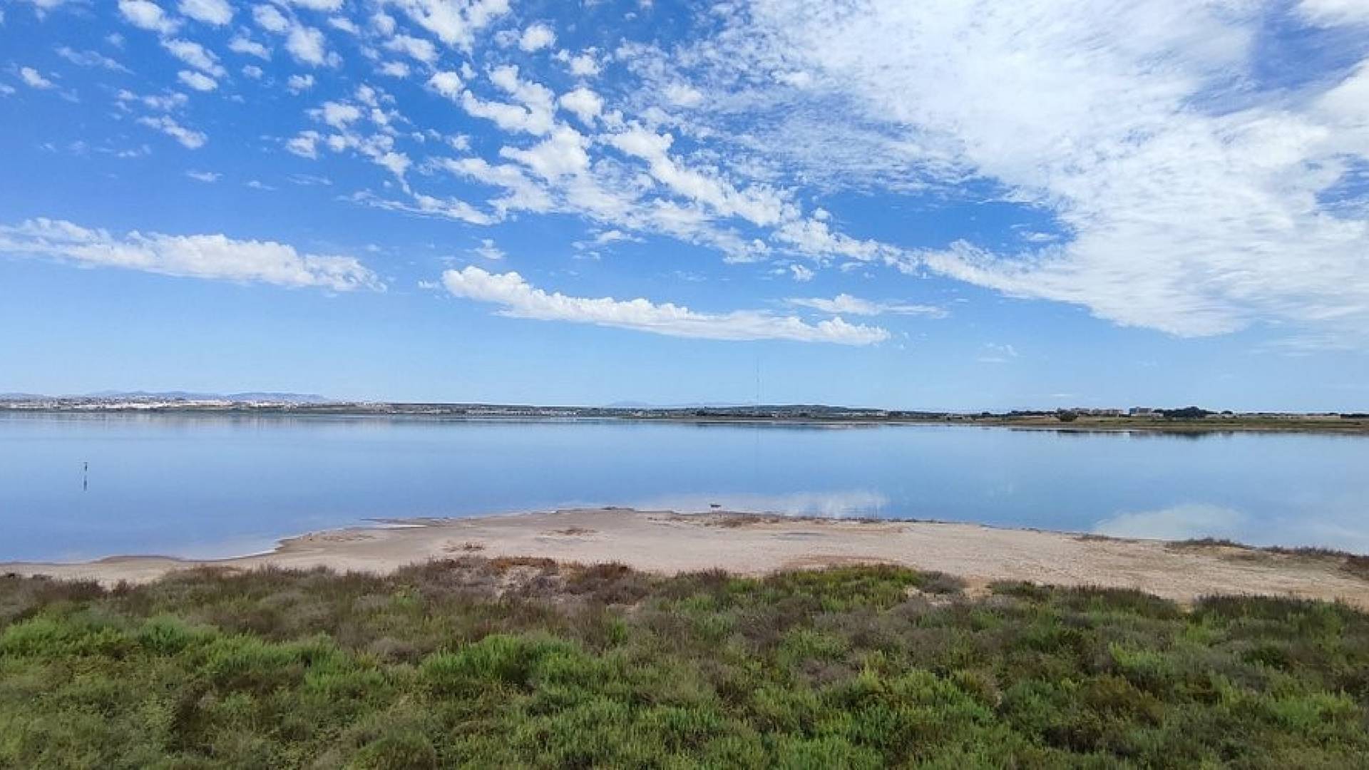 nowa inwestycja - Działka - Guardamar del Segura - Urb el raso