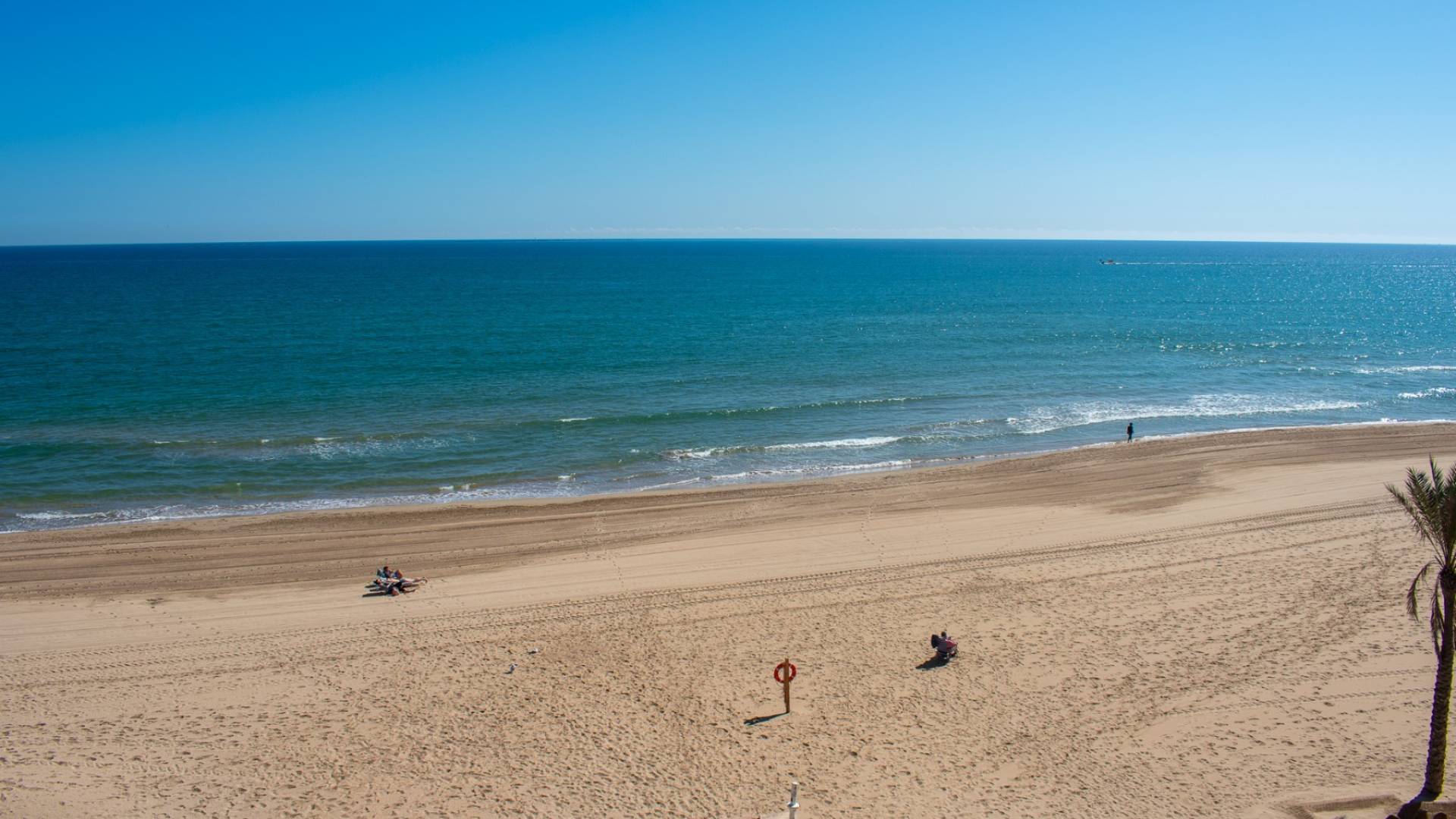 nowa inwestycja - Lokale komercyjne - Guardamar del Segura - Guardamar Playa