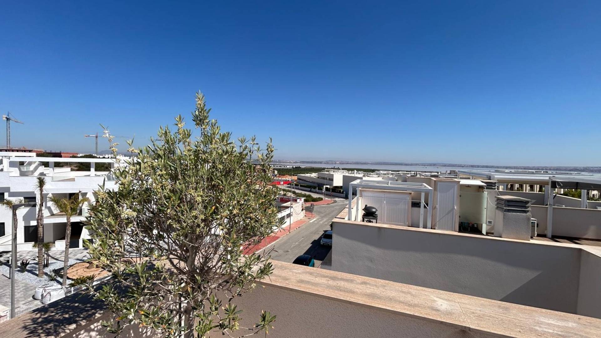 nowa inwestycja -  - Torrevieja