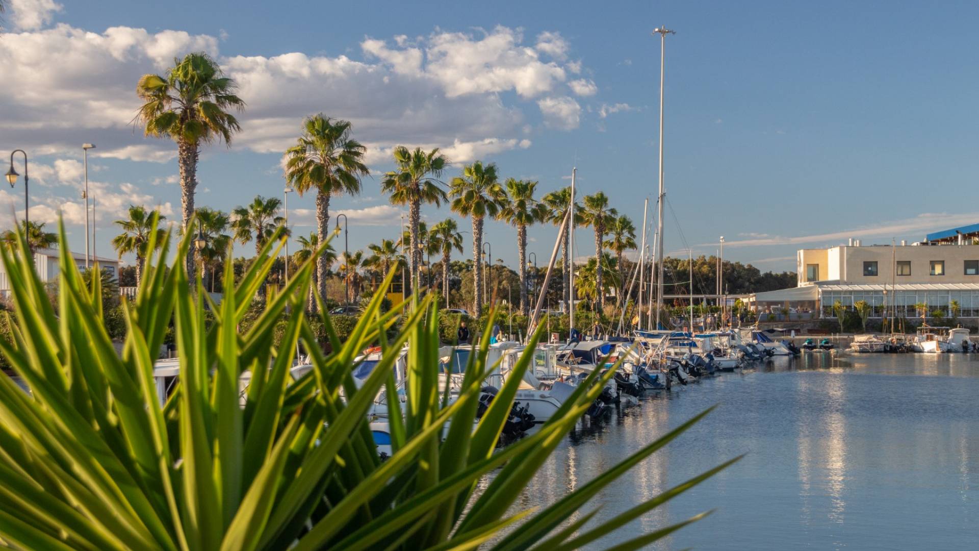 nowa inwestycja - Townhouse - Guardamar del Segura - Urbanizaciones