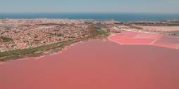 nowa inwestycja - Townhouse - Torrevieja
