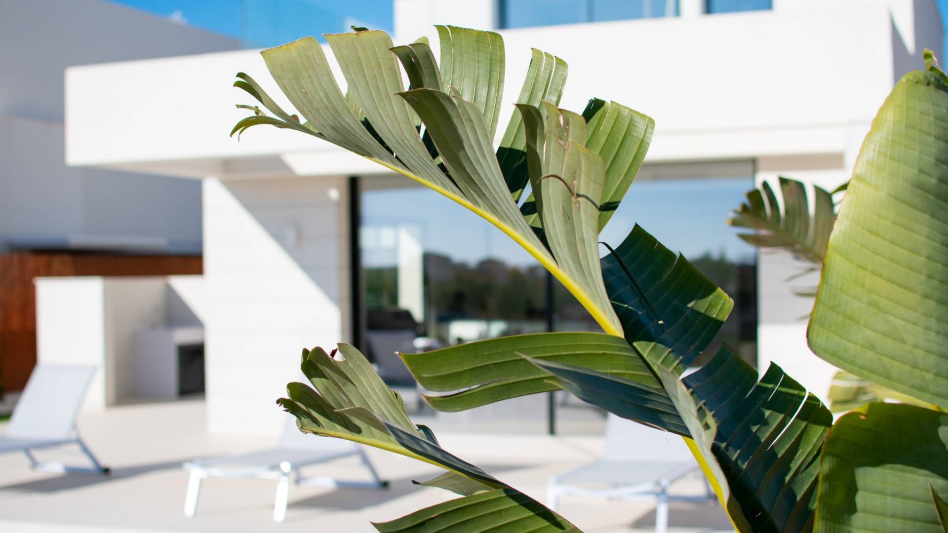 nowa inwestycja - Wolnostojąca willa - Los Montesinos - Montesinos