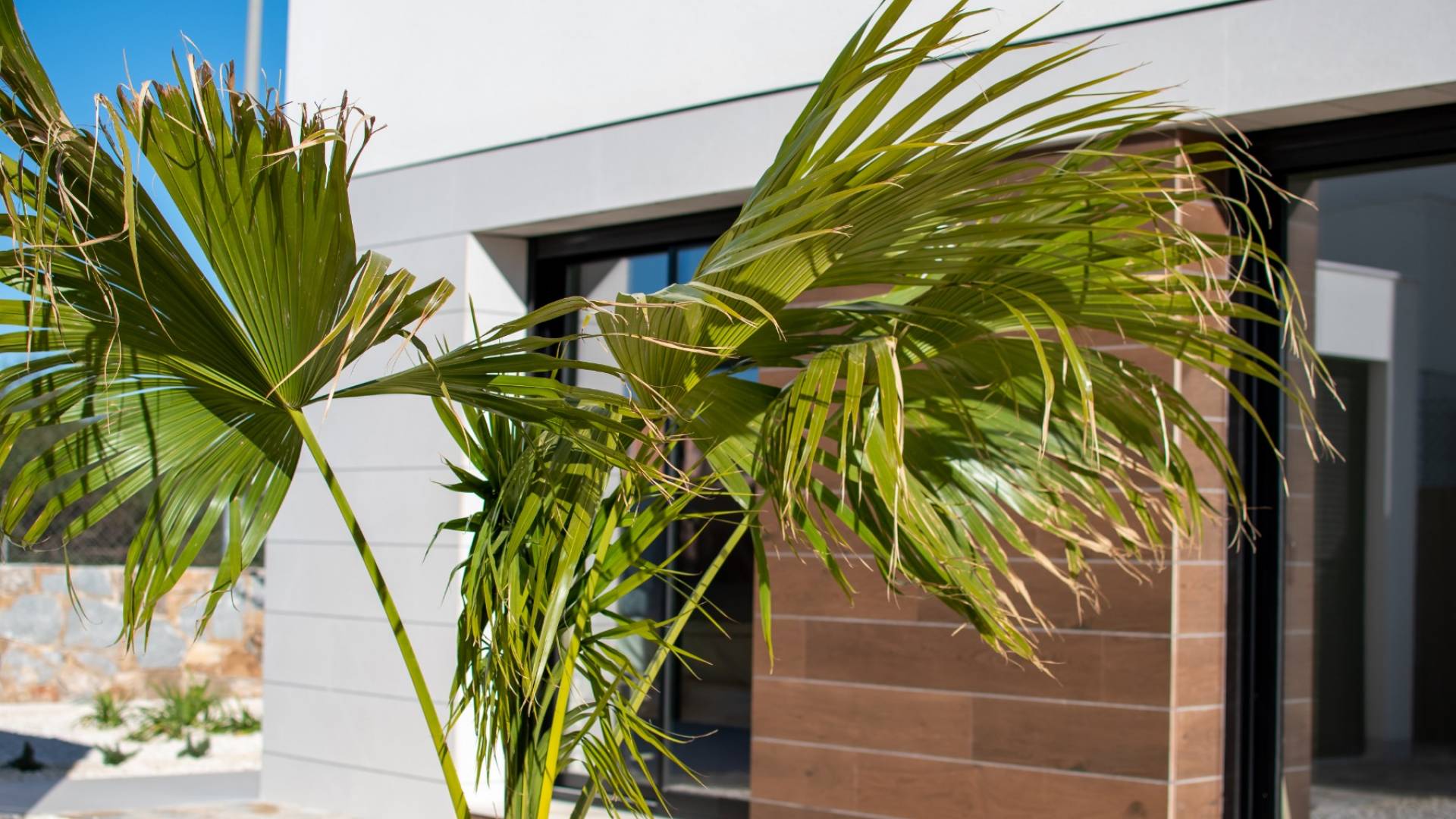 nowa inwestycja - Wolnostojąca willa - Los Montesinos - Montesinos