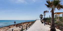 nowa inwestycja - Wolnostojąca willa - Orihuela Costa - La Zenia