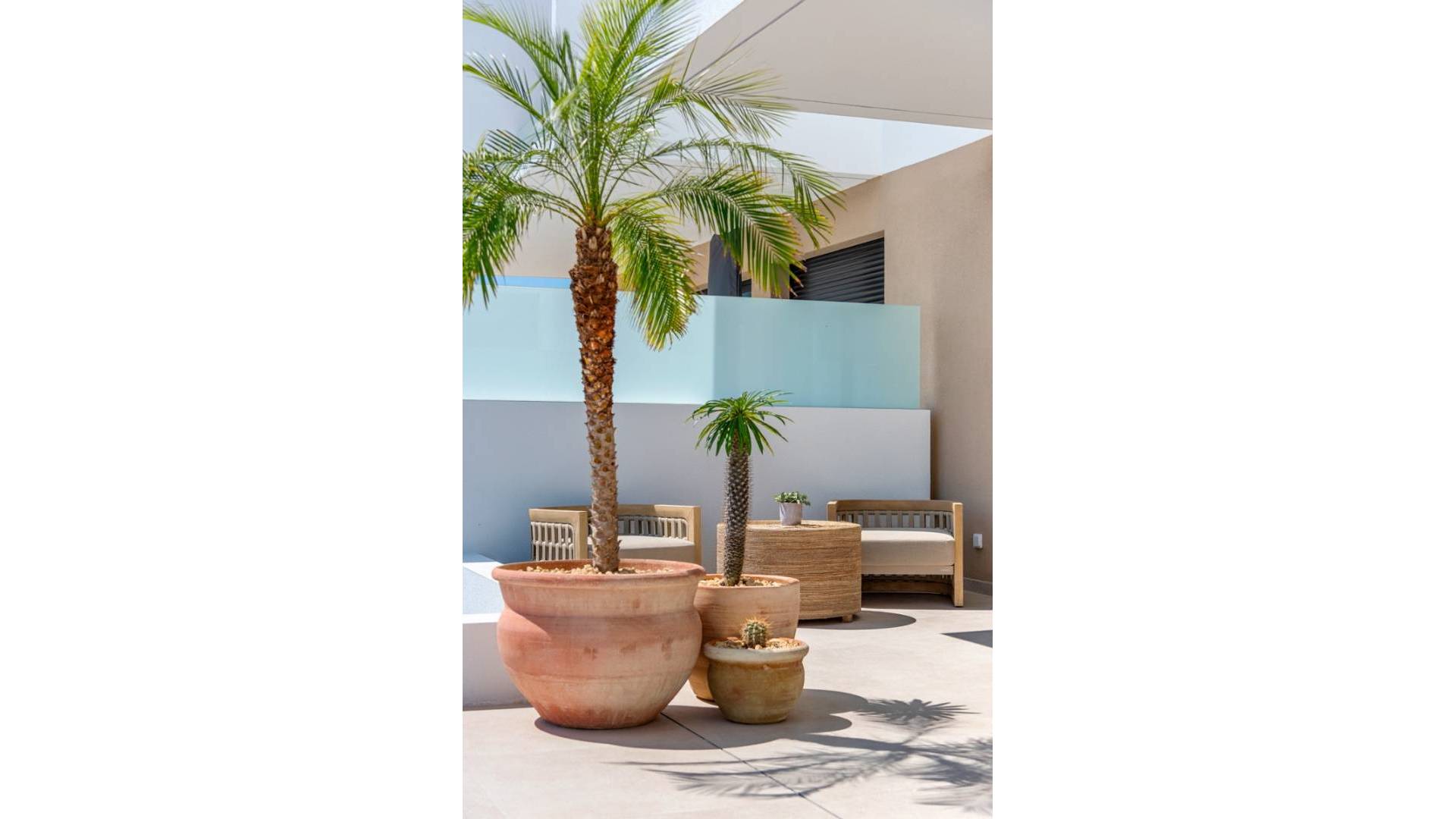 Nueva construcción  - Adosado - Dolores