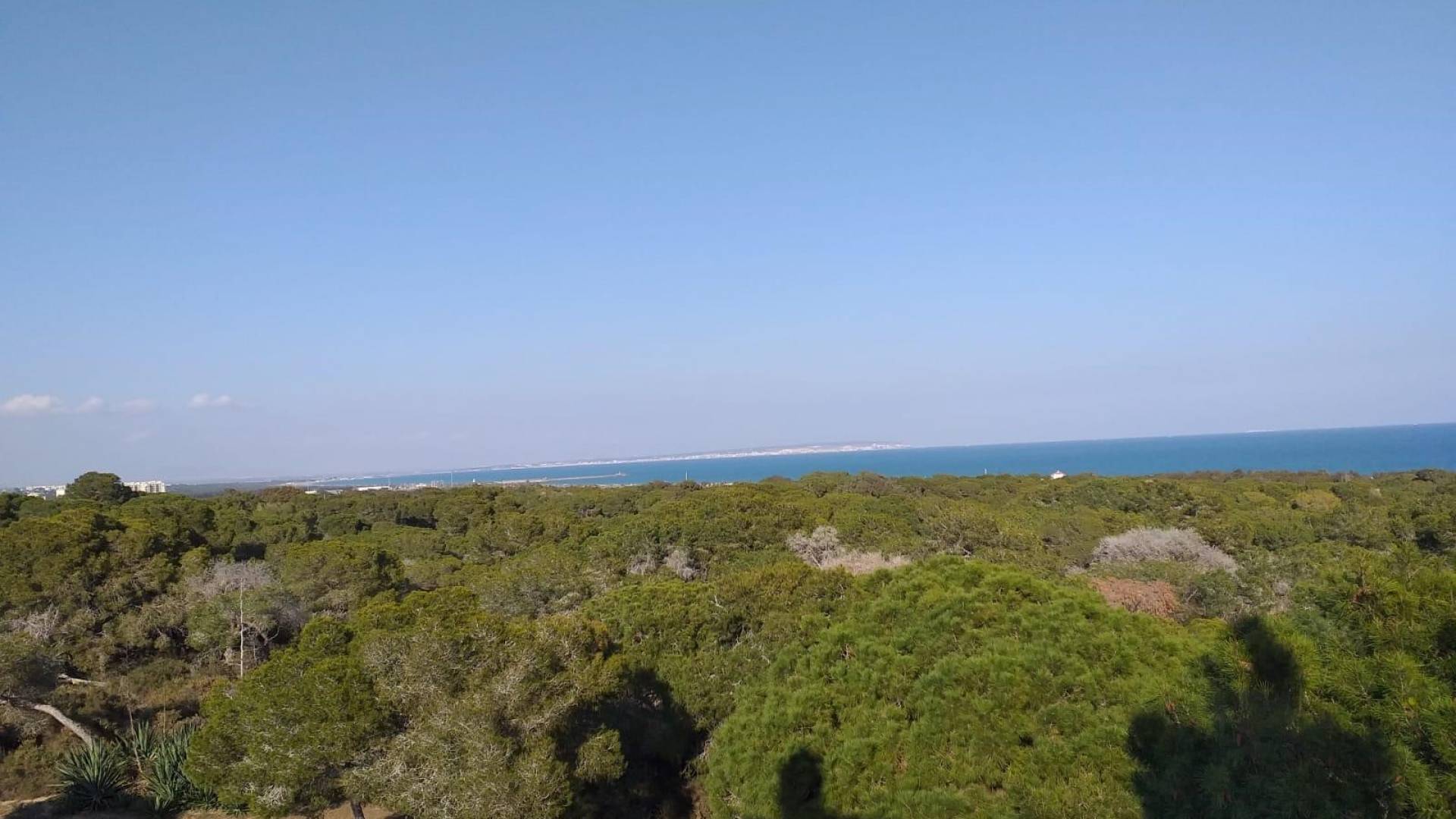 Nueva construcción  - Apartamento - Guardamar del Segura - Guardamar pueblo