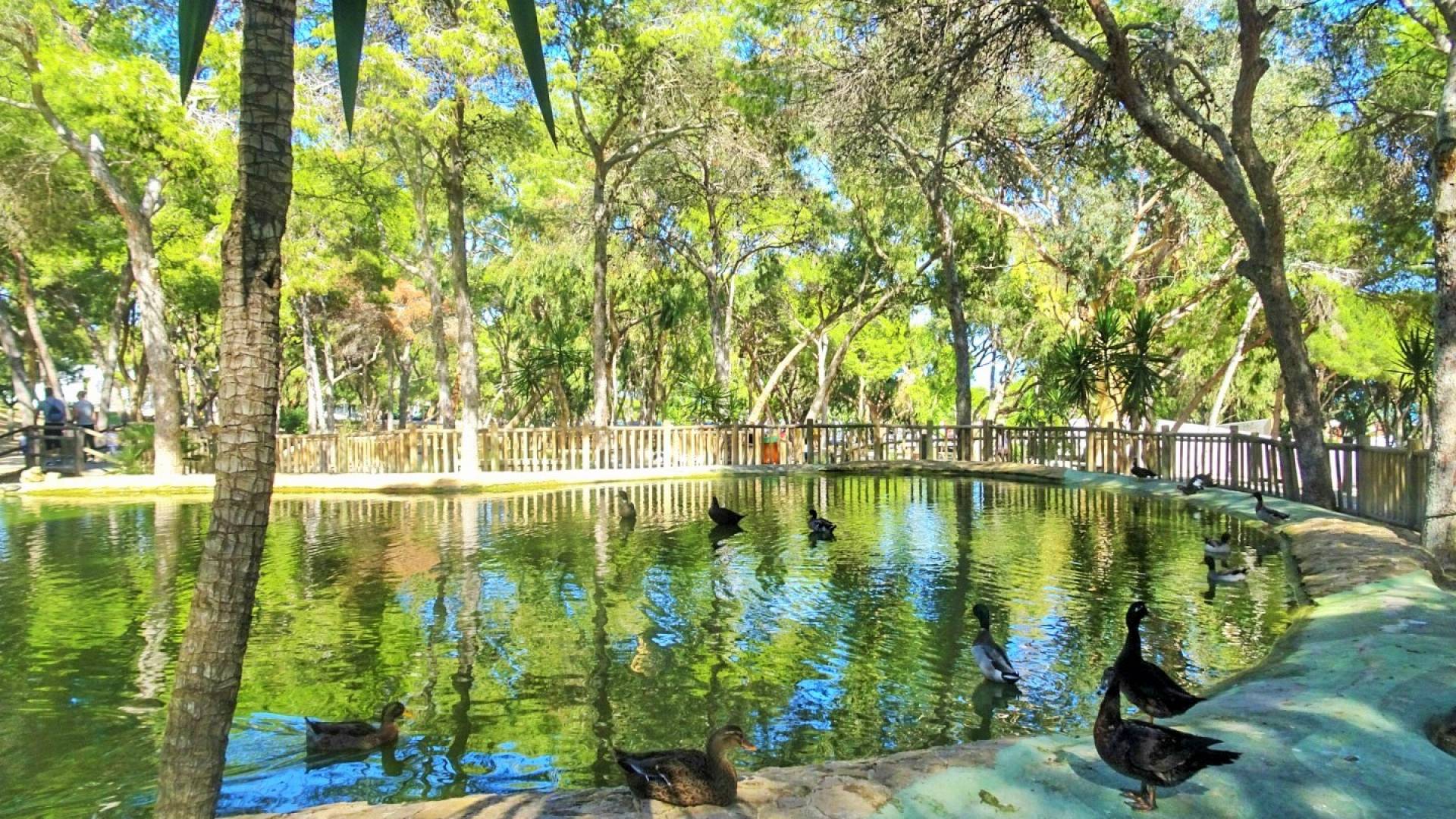 Nueva construcción  - Apartamento - Guardamar del Segura - Guardamar pueblo