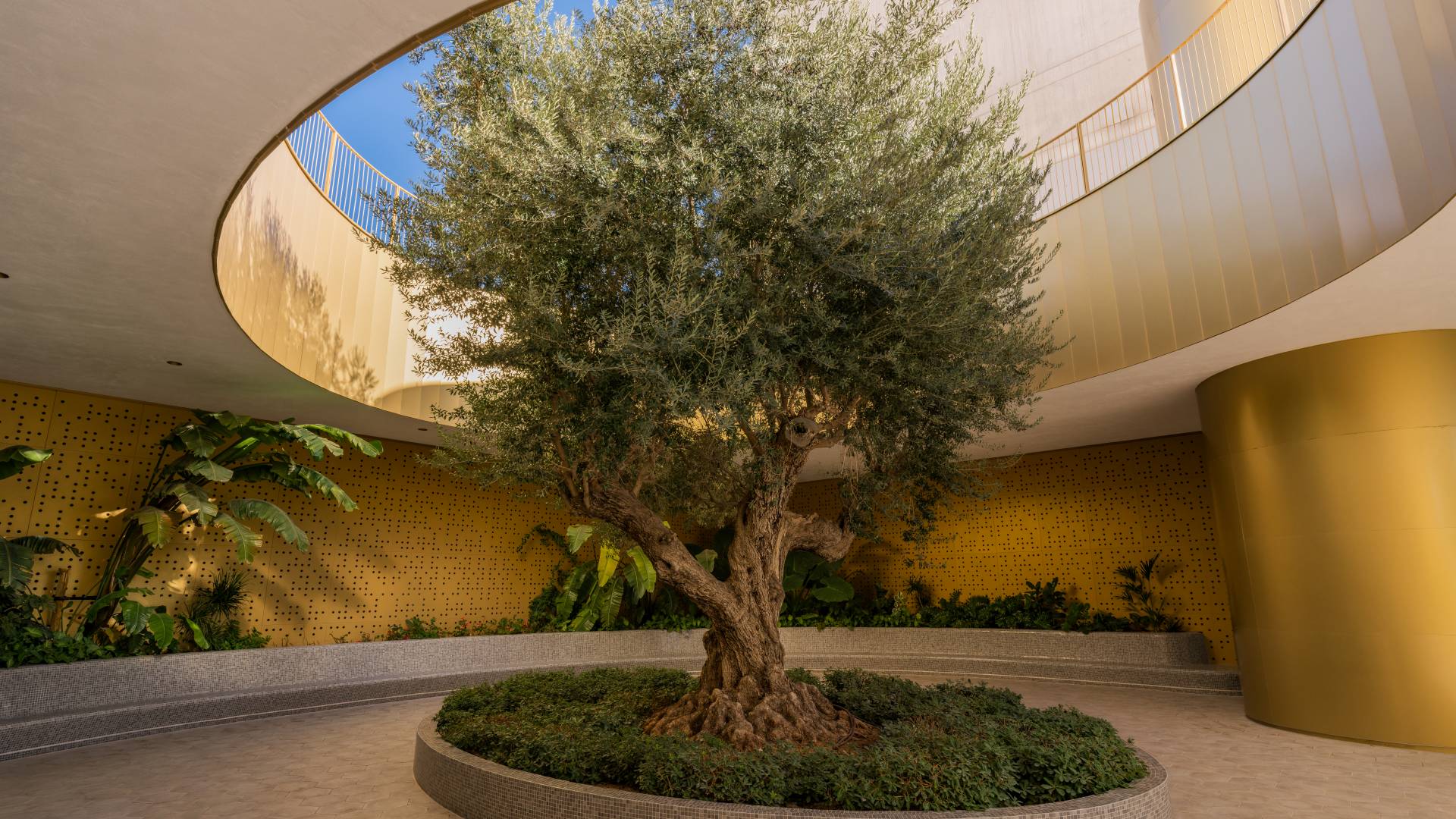 Nueva construcción  - Ático - Benidorm - Zona de Poniente