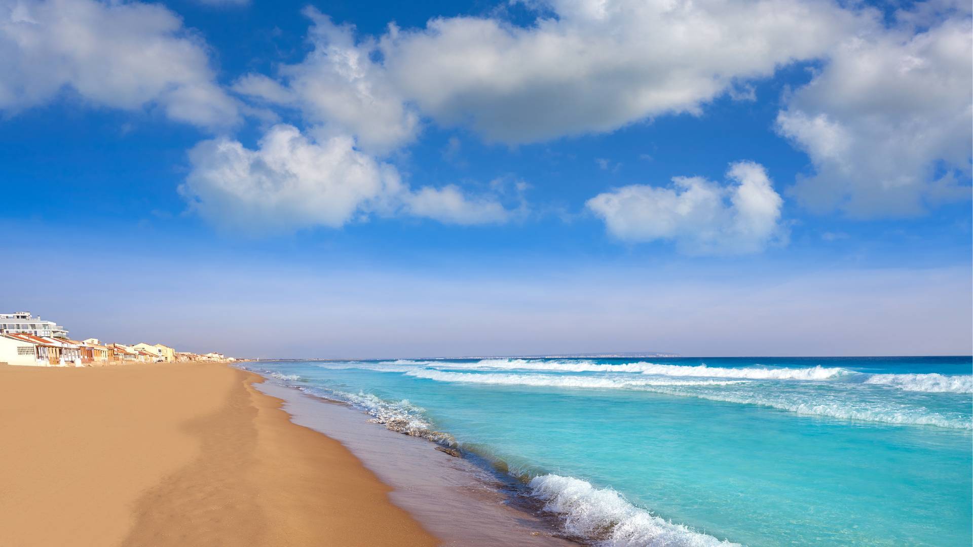 Nueva construcción  - Ático - Guardamar del Segura - Guardamar Playa