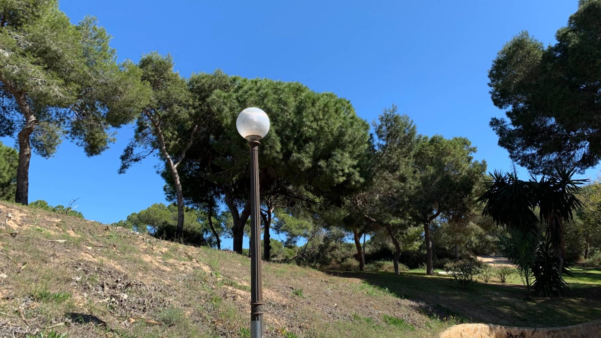 Nueva construcción  - Solar Terreno - Guardamar del Segura - Guardamar pueblo