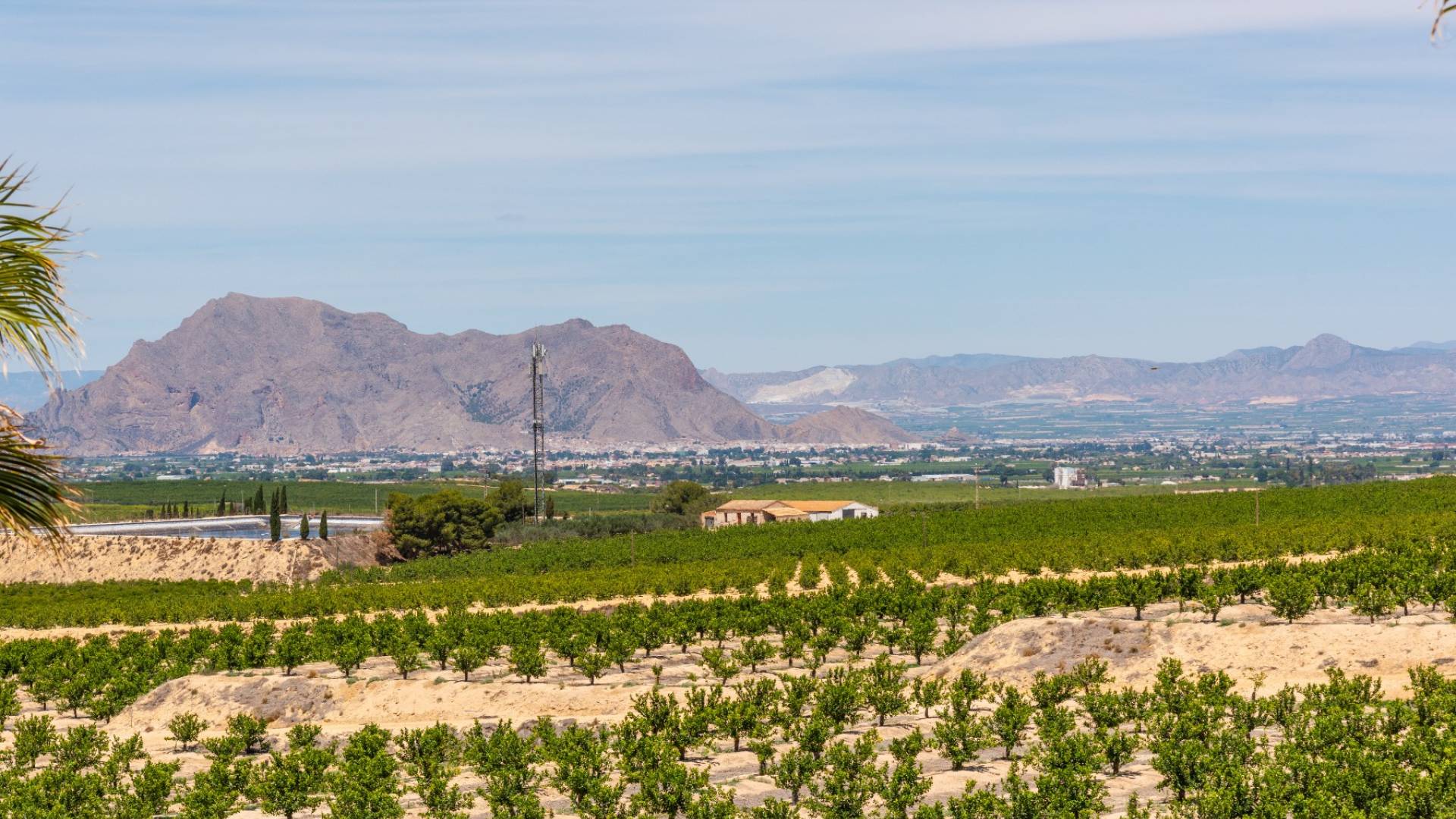 Nueva construcción  - Villa independiente - Algorfa