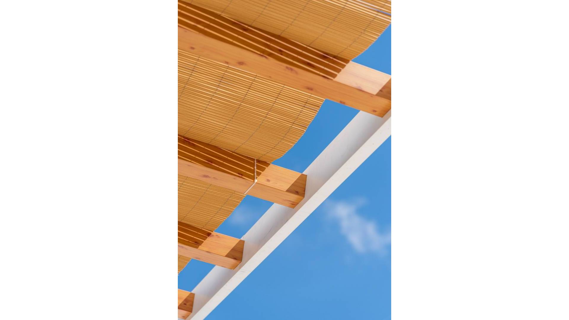 Nueva construcción  - Villa independiente - Benijofar