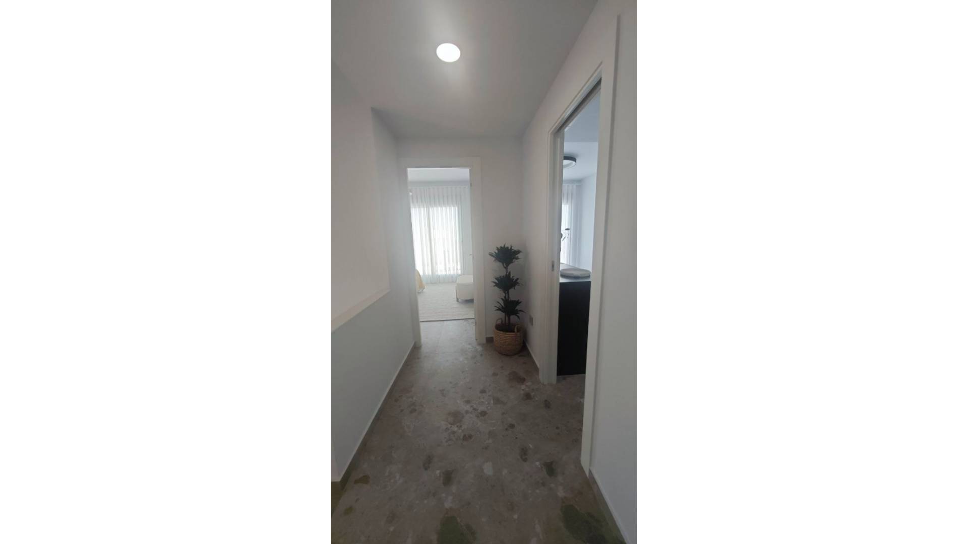 Nueva construcción  - Villa independiente - San Miguel de Salinas