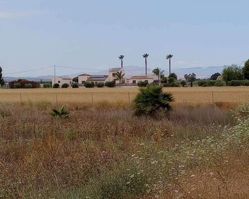 Parcela · D'occasion · San Fulgencio · San Fulgencio