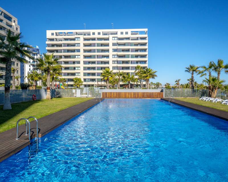 Penthouse · Gebraucht · Torrevieja · Punta Prima