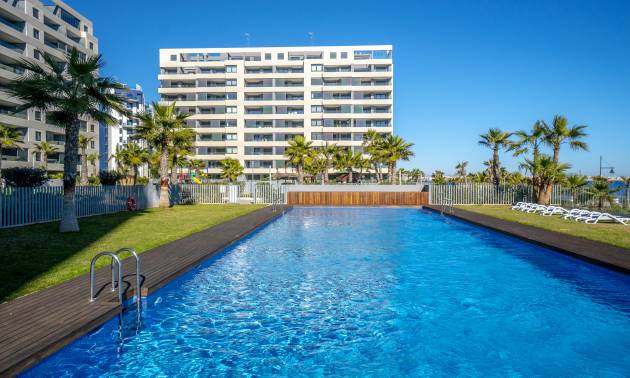Penthouse - Gebraucht - Torrevieja - 