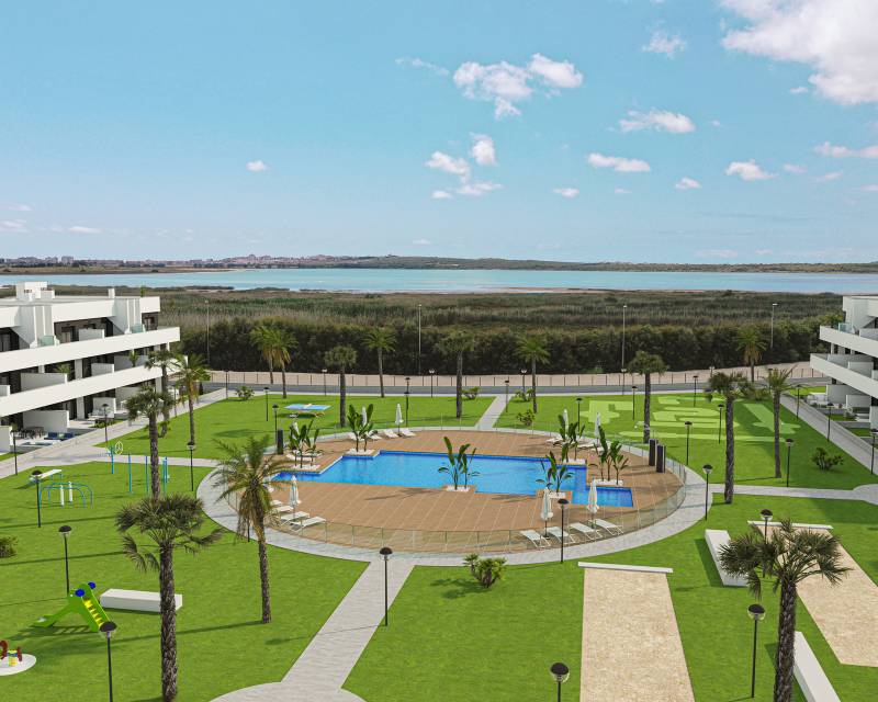 Penthouse · Nouvelle construction · Guardamar del Segura · Guardamar del Segura