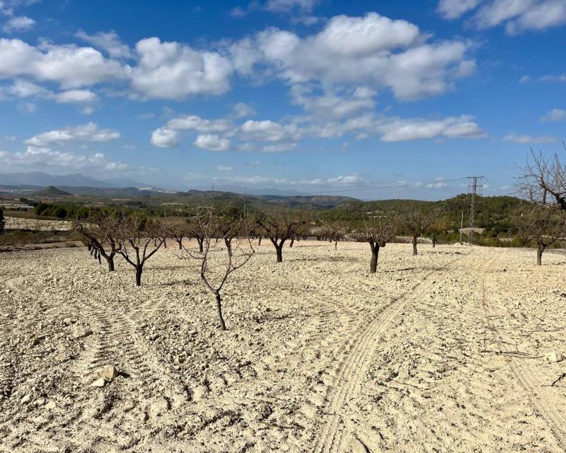 Plot · Gebraucht · Bullas · Costa Calida