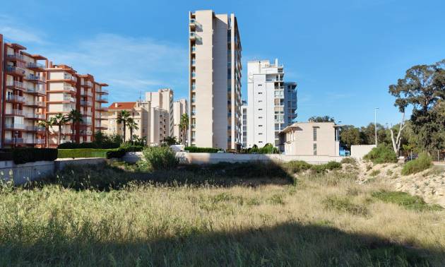 Plot - Gebraucht - Guardamar del Segura - Guardamar del Segura