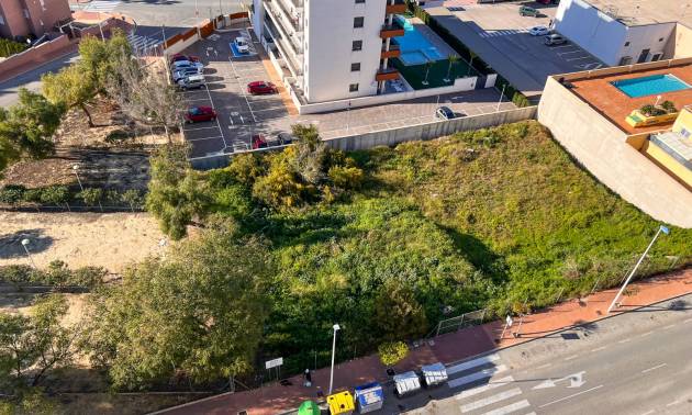 Plot - Second hand - Guardamar del Segura - Guardamar