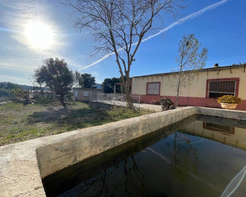 Propriété de campagne Finca · D'occasion · Aspe · Aspe