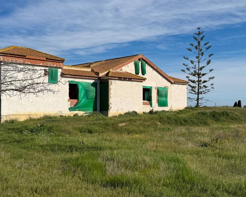 Propriété de campagne Finca · D'occasion · Guardamar del Segura · Guardamar