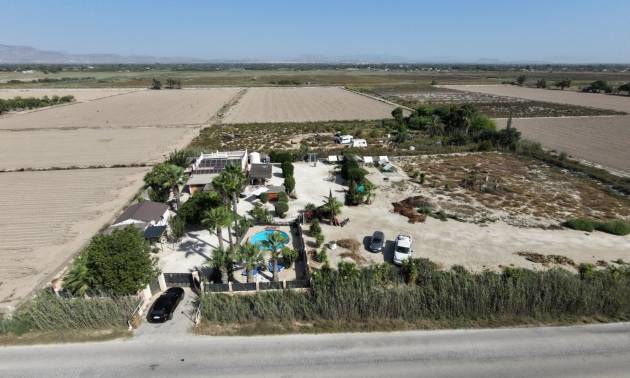 Propriété de campagne Finca - D'occasion - La marina - Elche / Elx