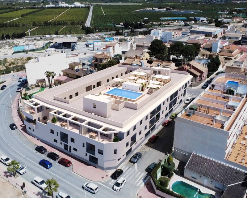 Rez-de-chaussée · Nouvelle construction · San Miguel de Salinas · San Miguel de Salinas