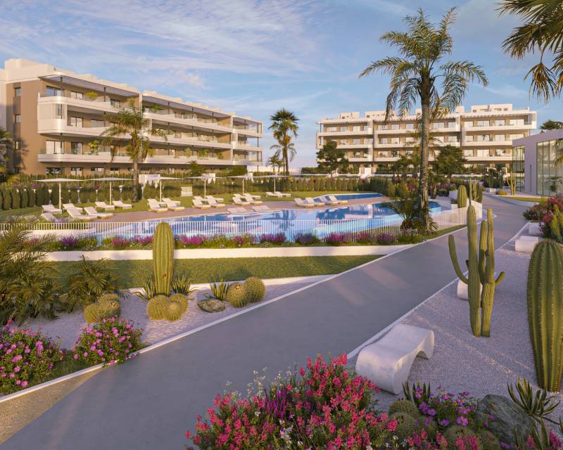 Rez-de-chaussée · Nouvelle construction · Torrevieja · Torrevieja