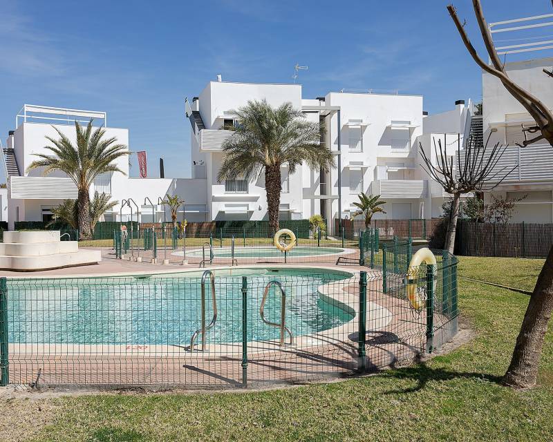 Rez-de-chaussée · Nouvelle construction · Vera · Vera